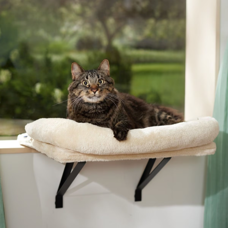 Plush Cat Window Perch with Removable Bolster