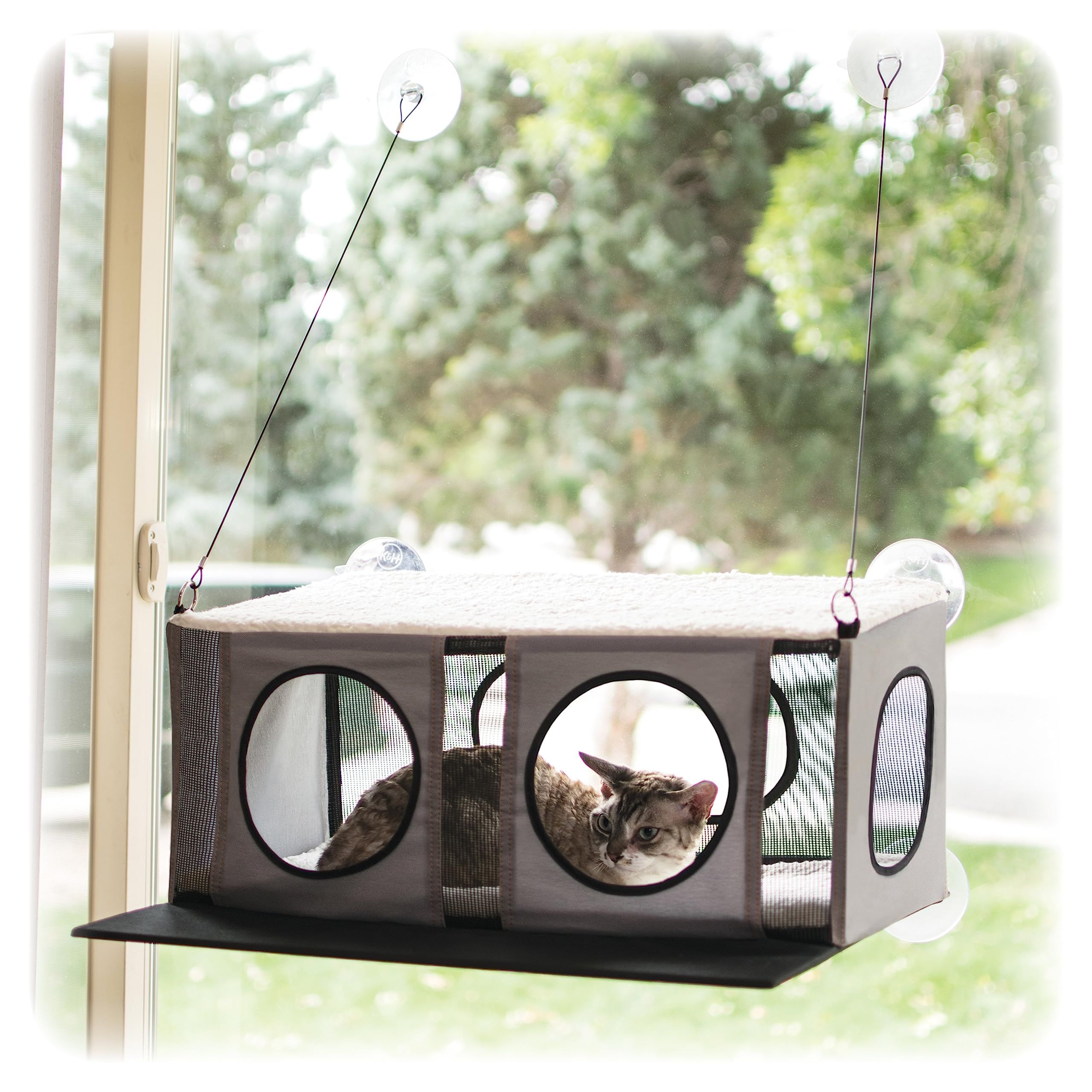 11 Best Cat Window Perches of 2024