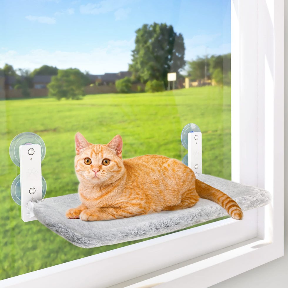 Cordless Cat Window Perch