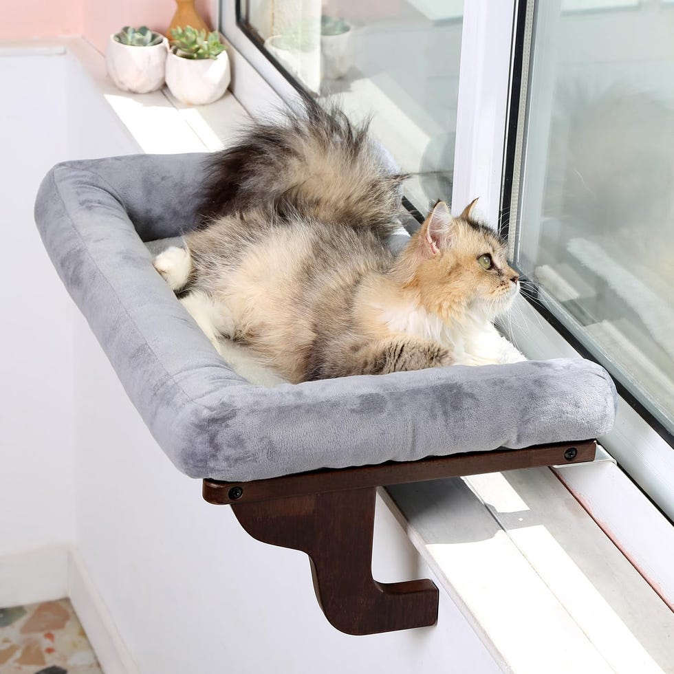 Cat Perch for Window Sill with Bolster