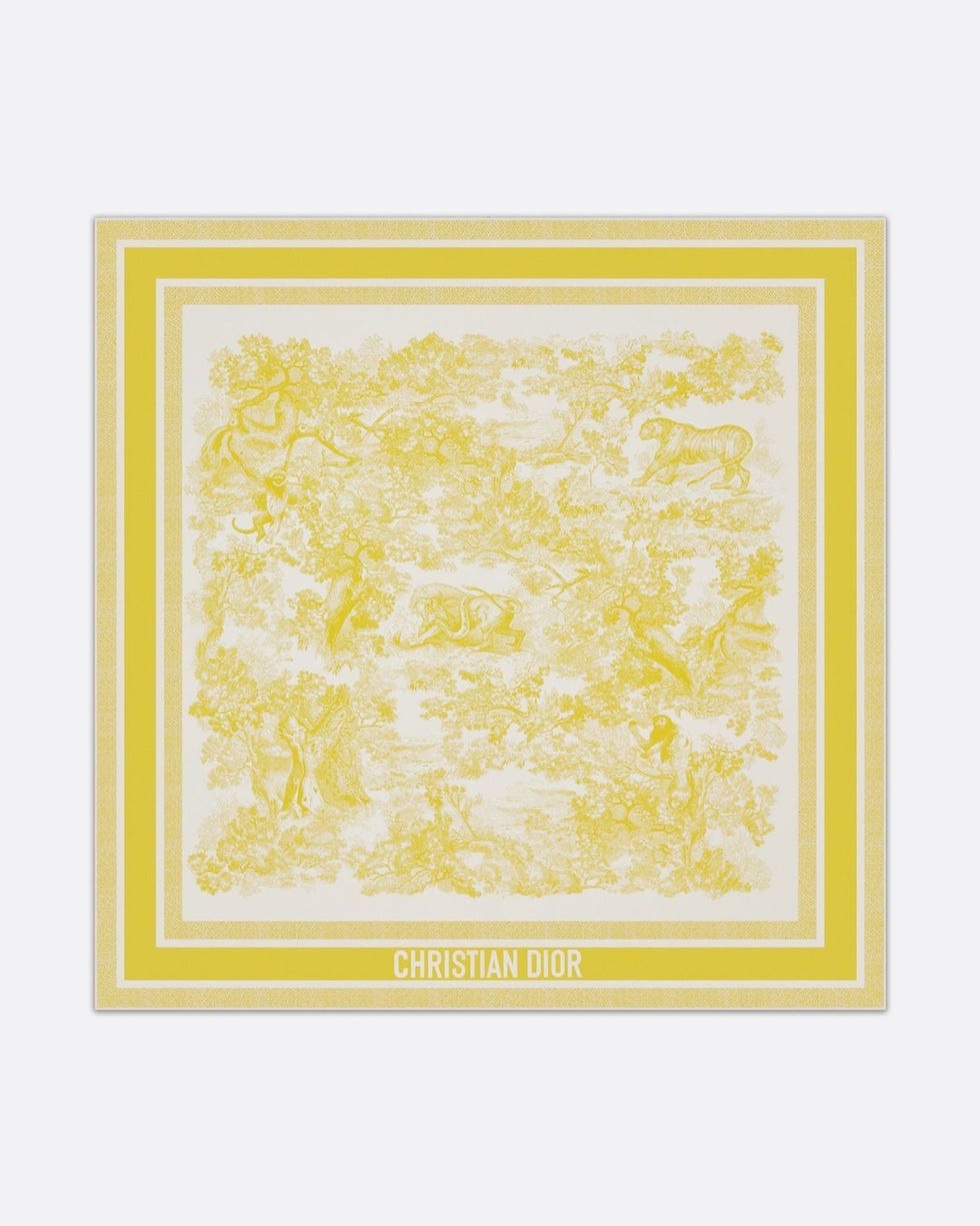 Dioriviera Toile de Jouy Sauvage 90 Square Scarf