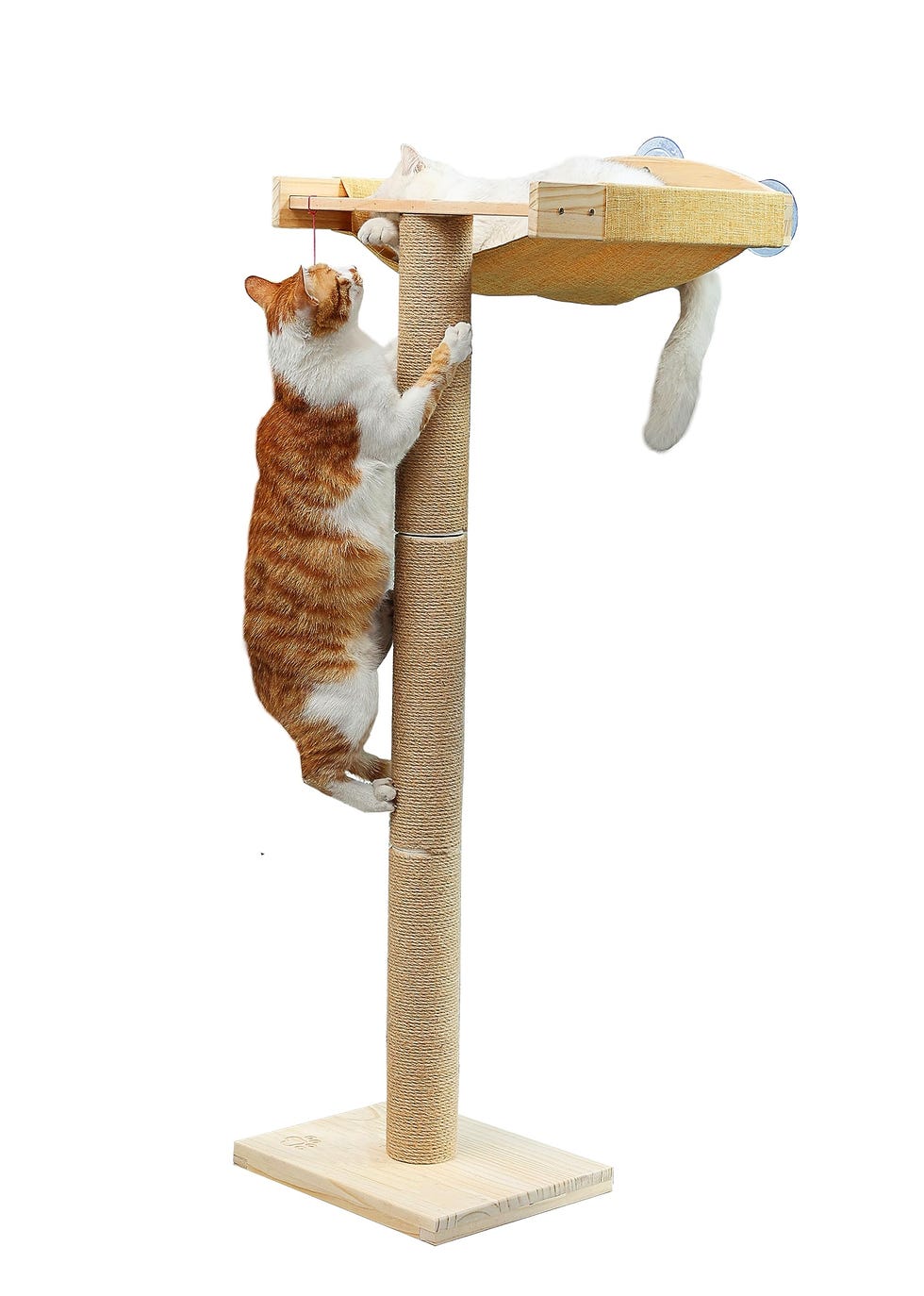 Cat Window Hammock with Scratching Posts