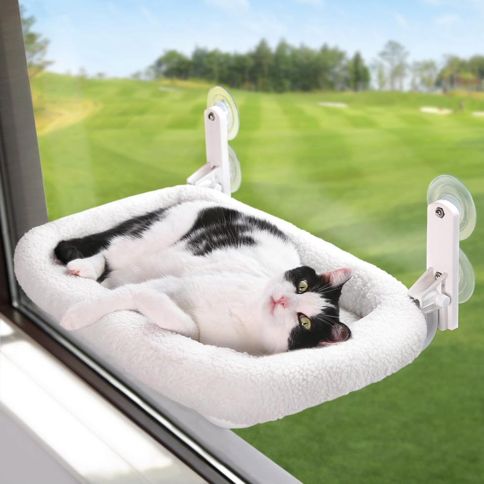 Foldable Cat Hammock for Window