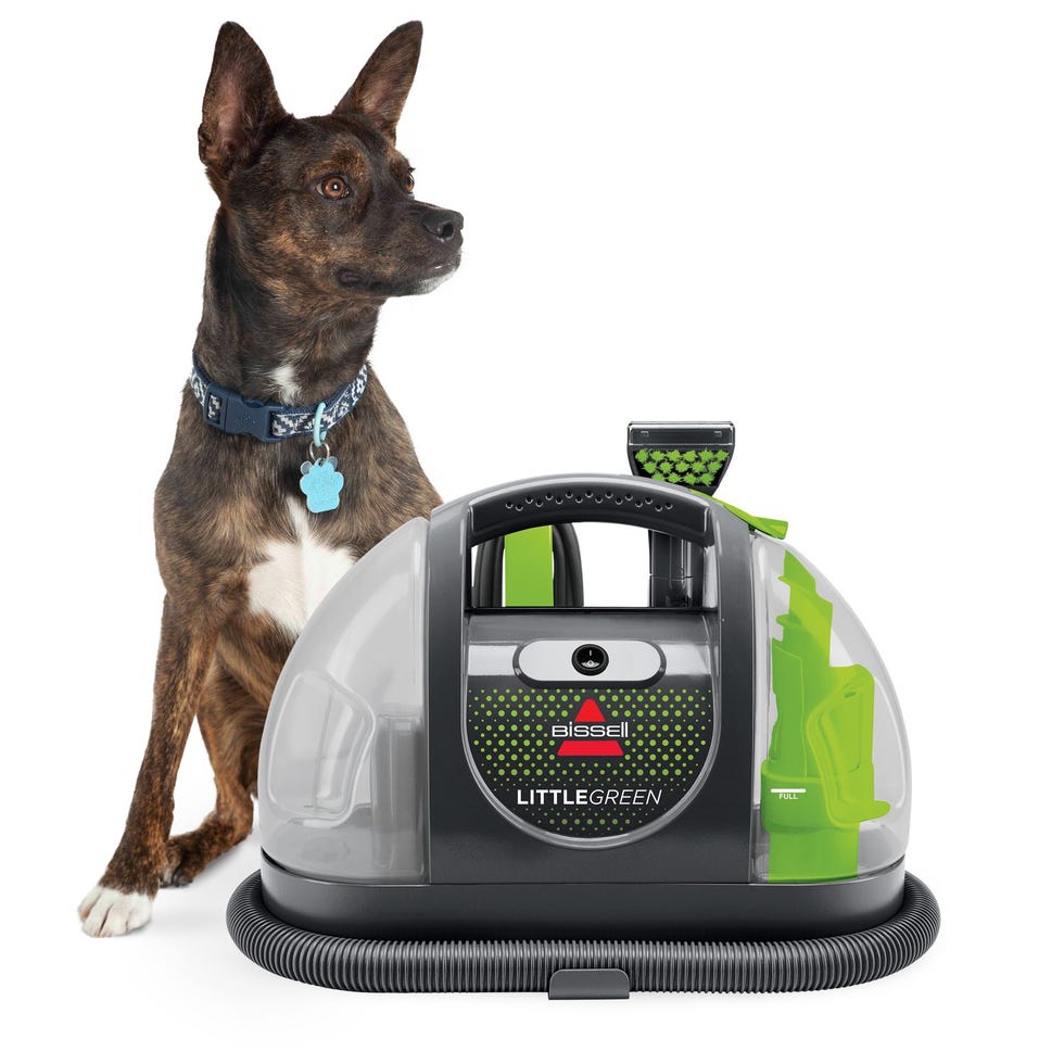 Little Green Portable Carpet Cleaner Little Green Portable Carpet Cleaner