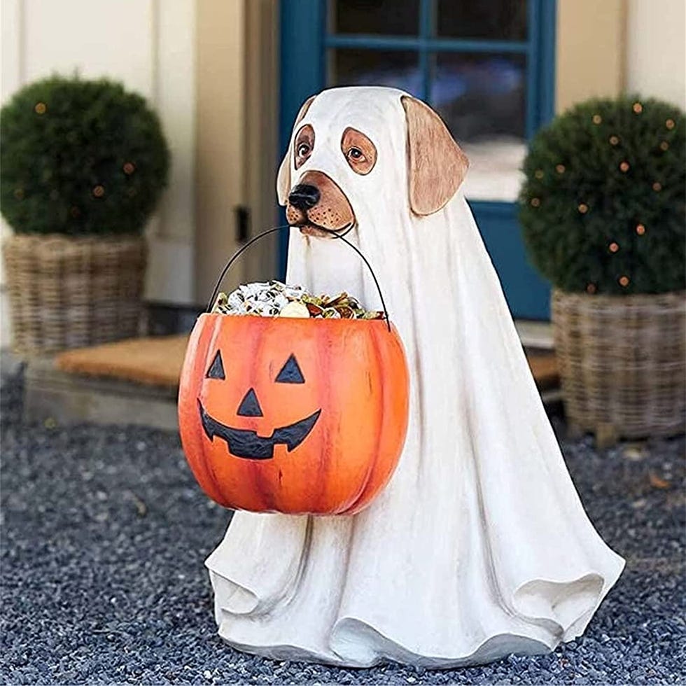 Ghost Dog Candy Bowl Holder