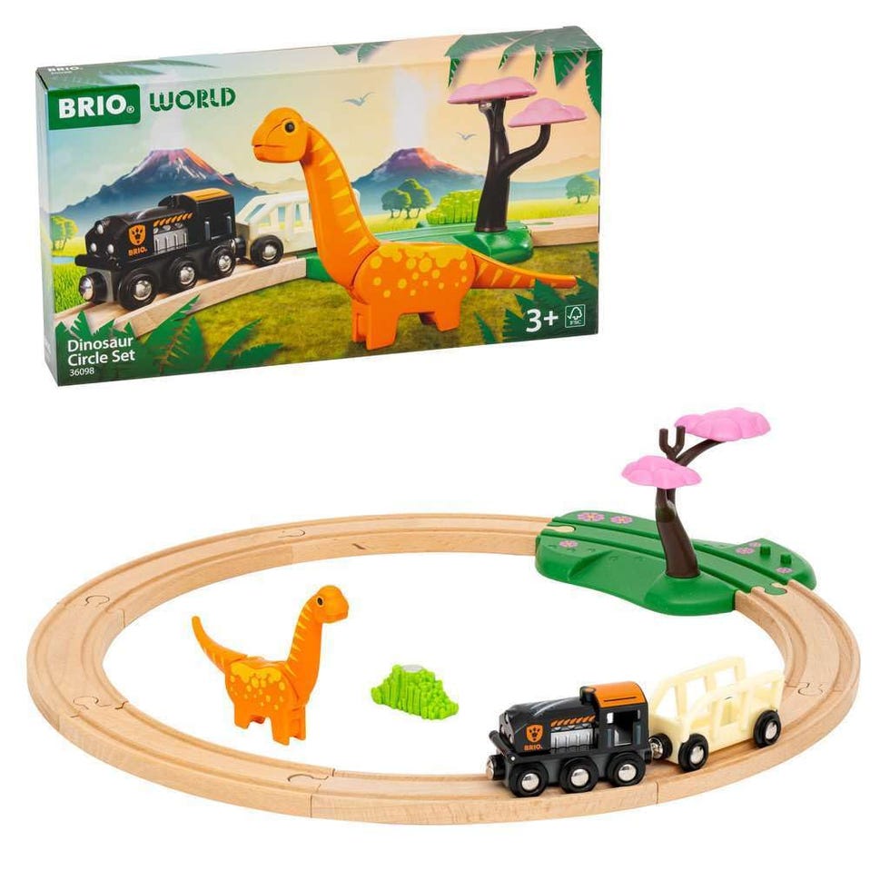 Dinosaur Circle Set