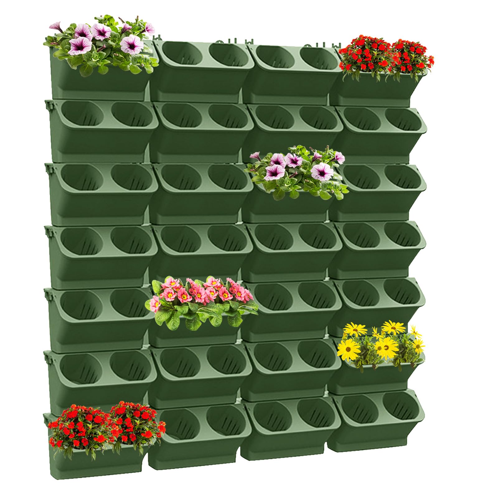 How to Create a Plant Wall, a Guide