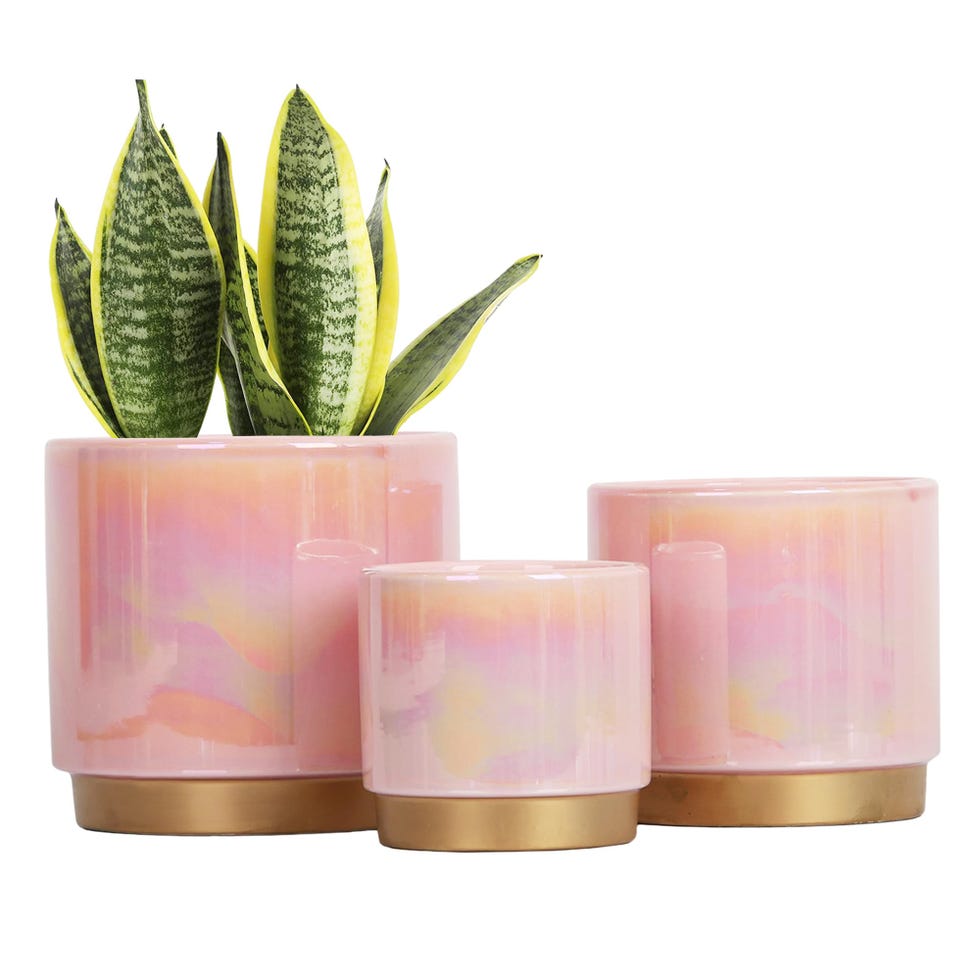 Pink flower pots for indoor use