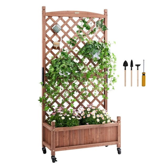 Raised bed with trellis 