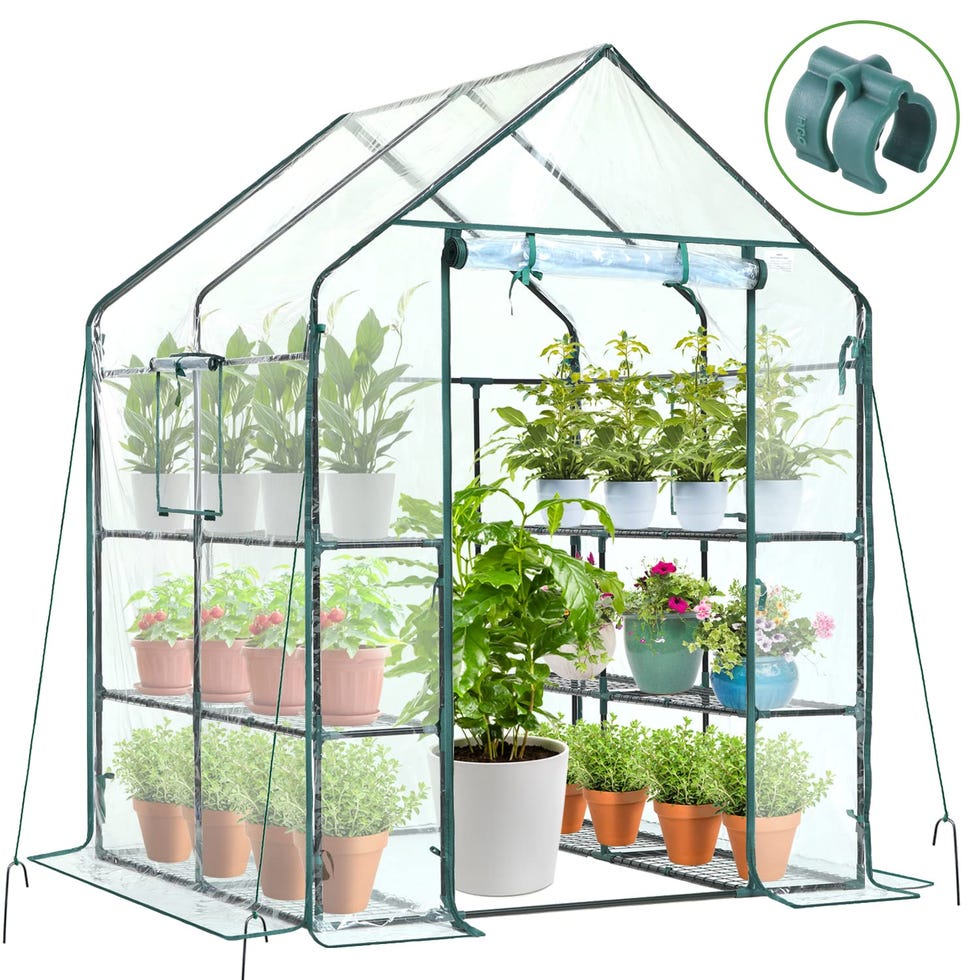 Plastic greenhouse 