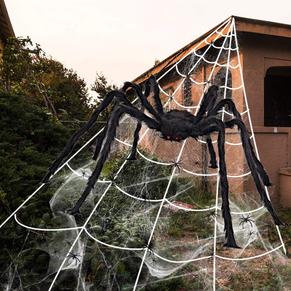 Tela de araña con insecto gigante