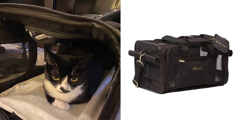 Delta Airlines Travel Pet Carrier