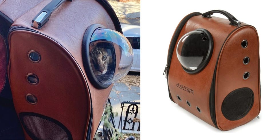 Bubble Cat Carrier Backpack