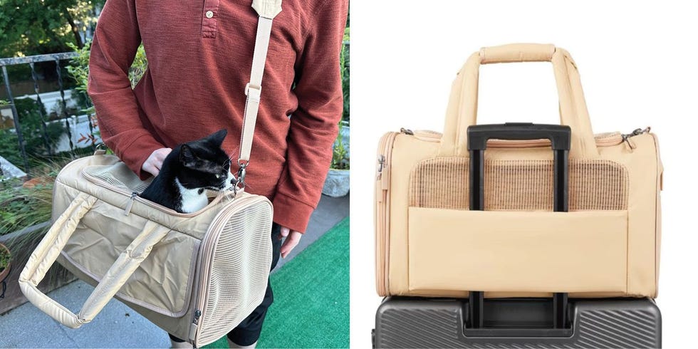 Soft-Sided Airline Compliant Dog & Cat Carrier