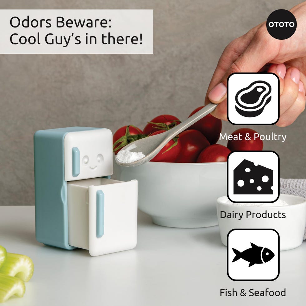 Cool Guy Refrigerator Odor Absorber by OTOTO