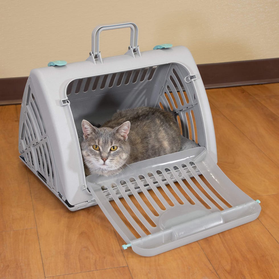 Foldable Cat Carrier