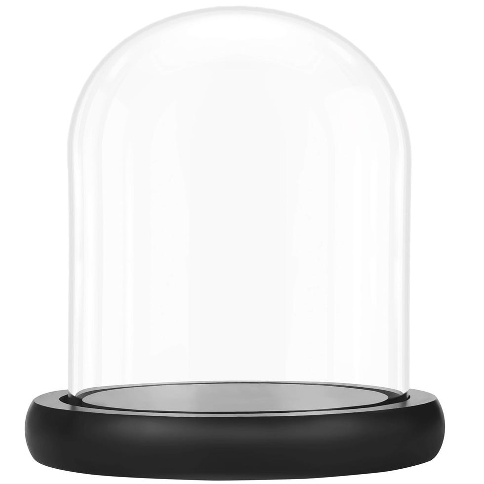 Campana transparente con base de madera