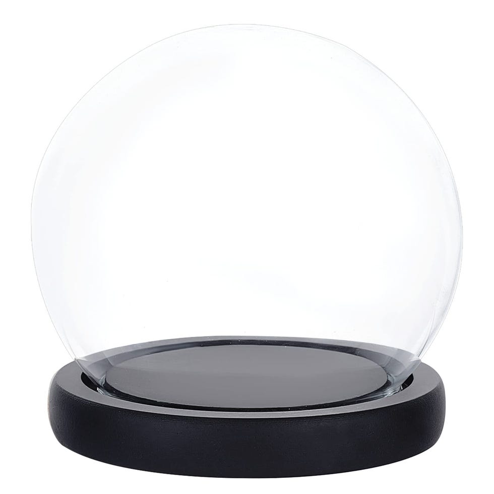 Urna de cristal decorativa para suculentas