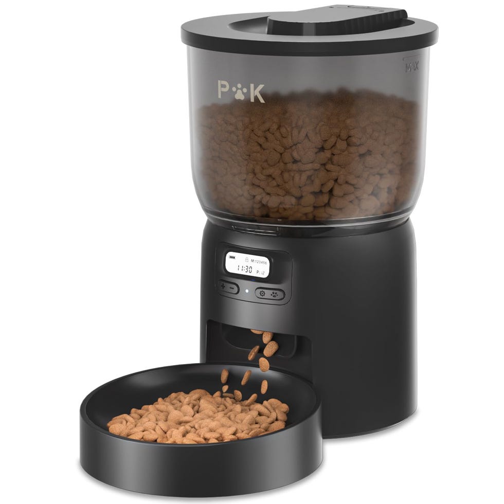 Comedero automático para gatos
