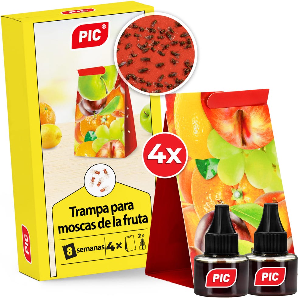 Trampa de pegamento de moscas de la fruta
