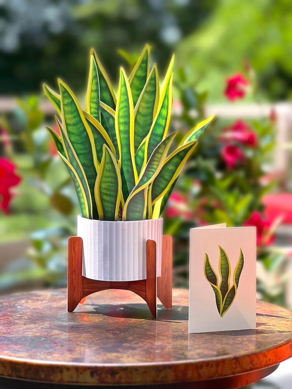 Snake Plant Pop Up Card