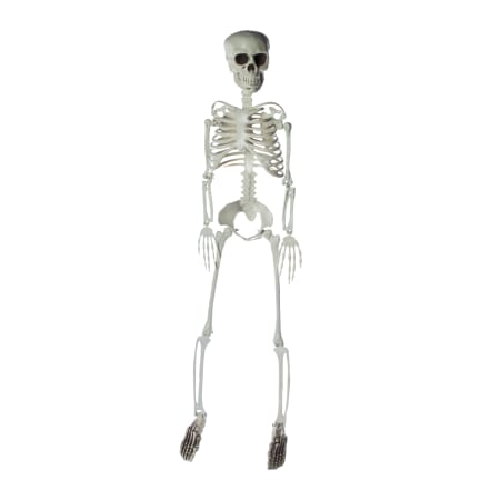 3-Foot Skeleton