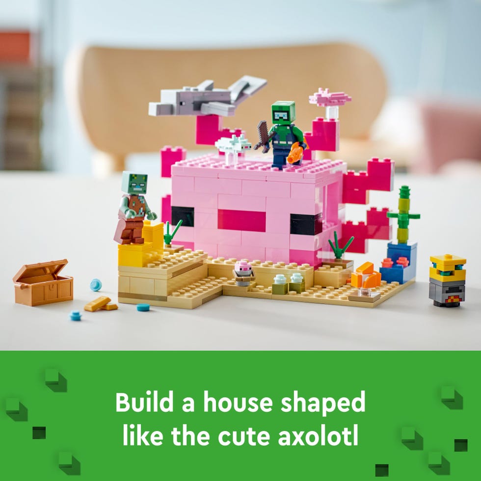 Minecraft Axolotl House