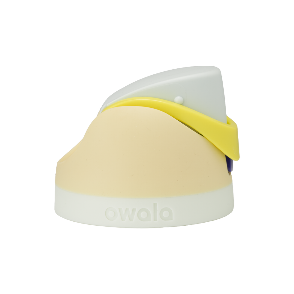 Replacement Lid