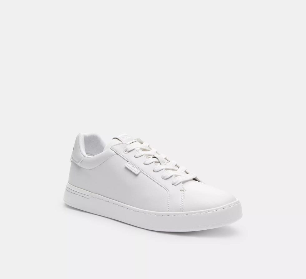 Lowline Low Top Sneaker