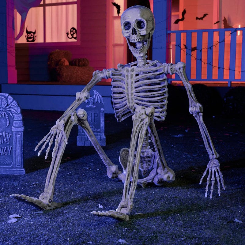 5.6-Foot Posable Life Size Skeleton