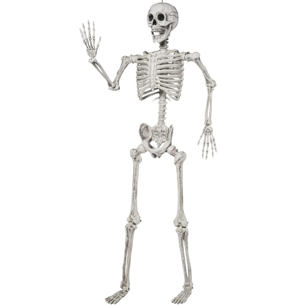 5.6-Foot Halloween Posable Life-Size Skeleton