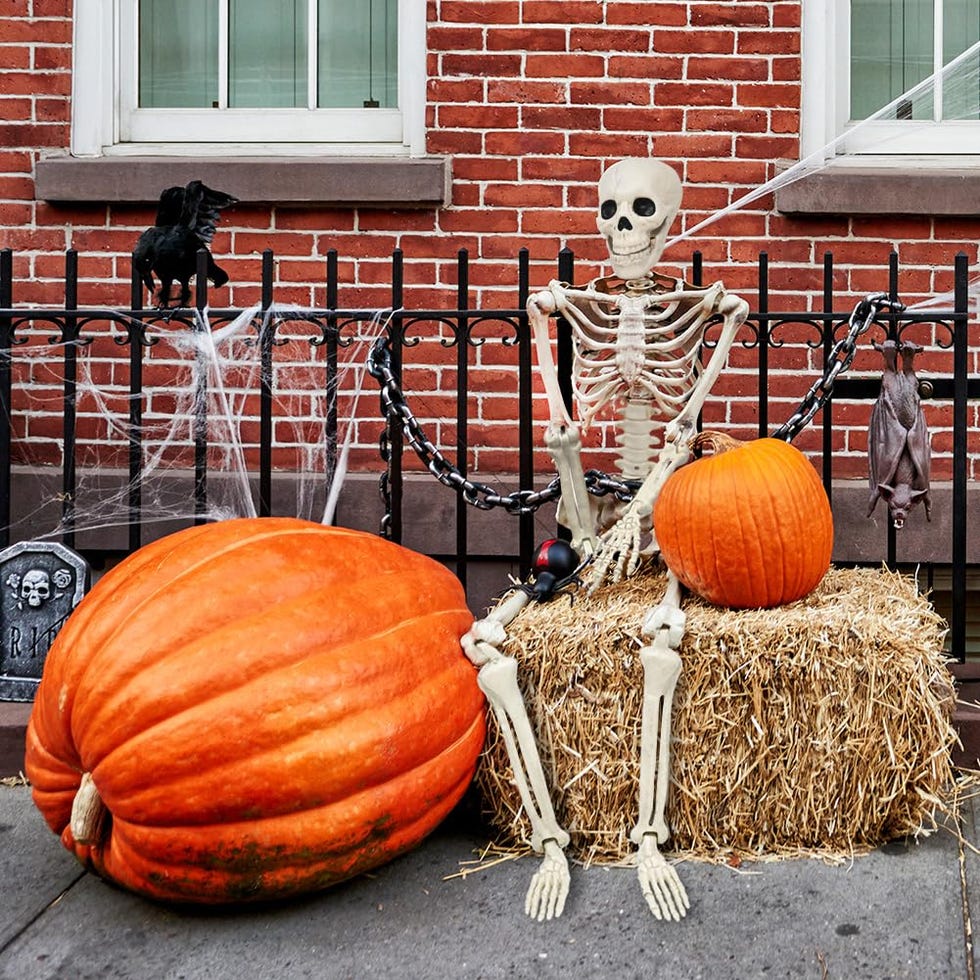 3-Foot Skeleton Halloween Decoration