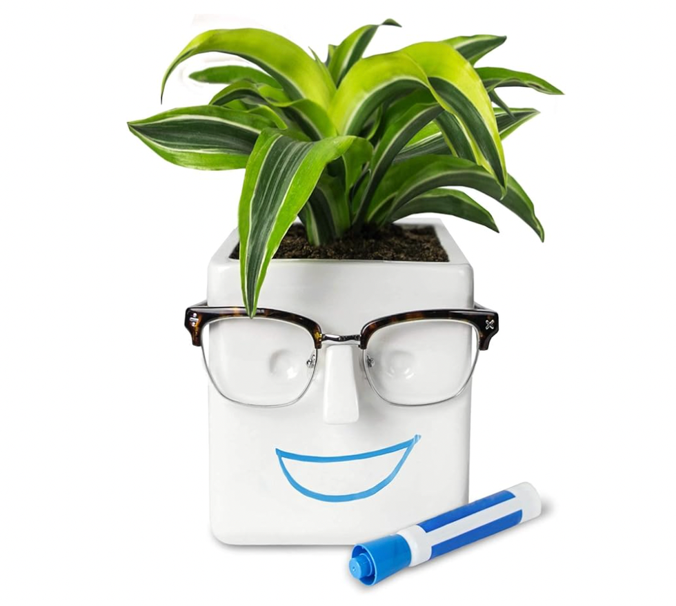 Novelty Planter 