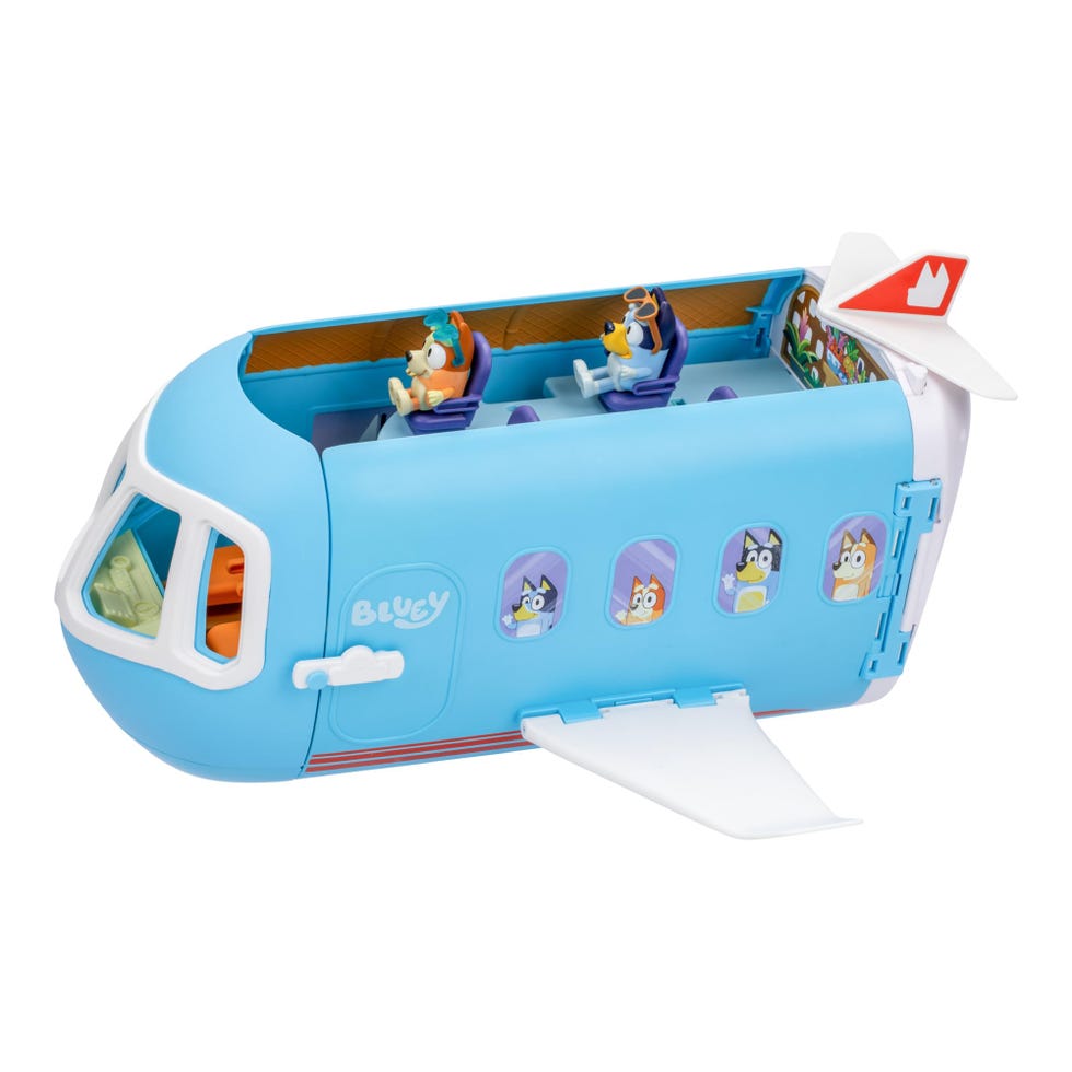 3-in-1 Transforming Plane Playset with The Heelers