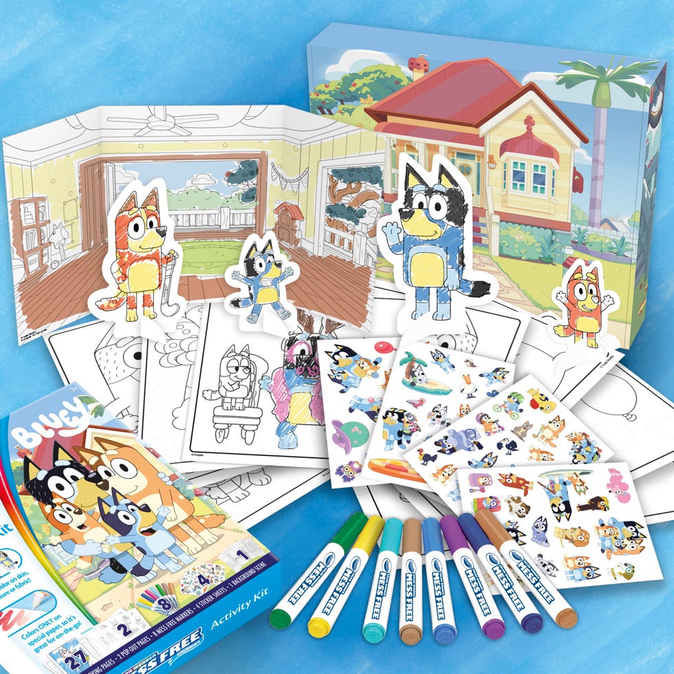 Color Wonder Bluey Activity Kit