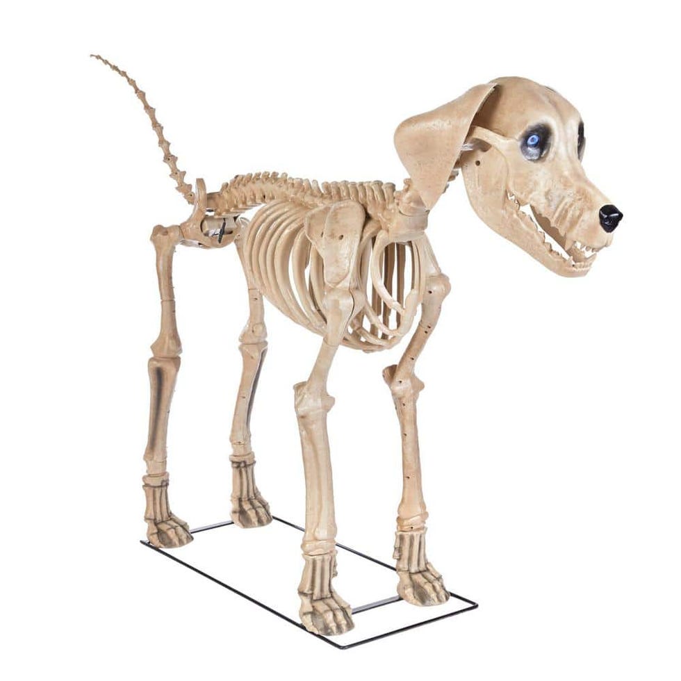 Skelly’s Dog