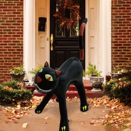 Inflatable Bat Cat
