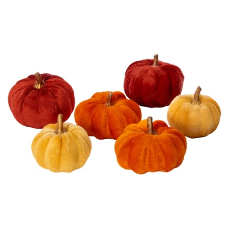 Mini Pumpkins