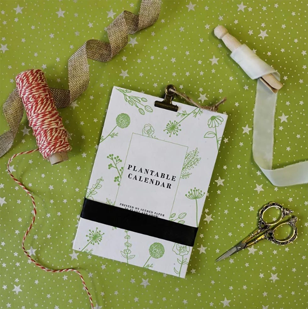 Calendario de Adviento papel de semillas plantable