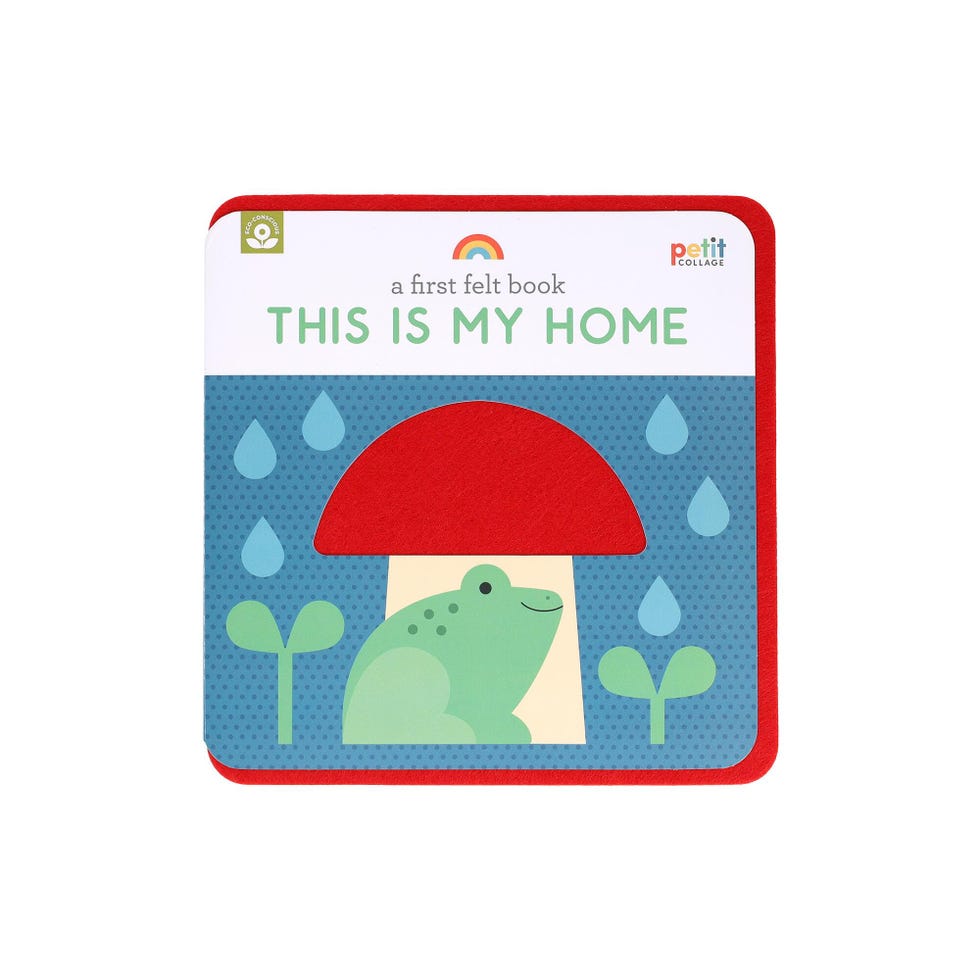 This Is My Home: A First Felt Book