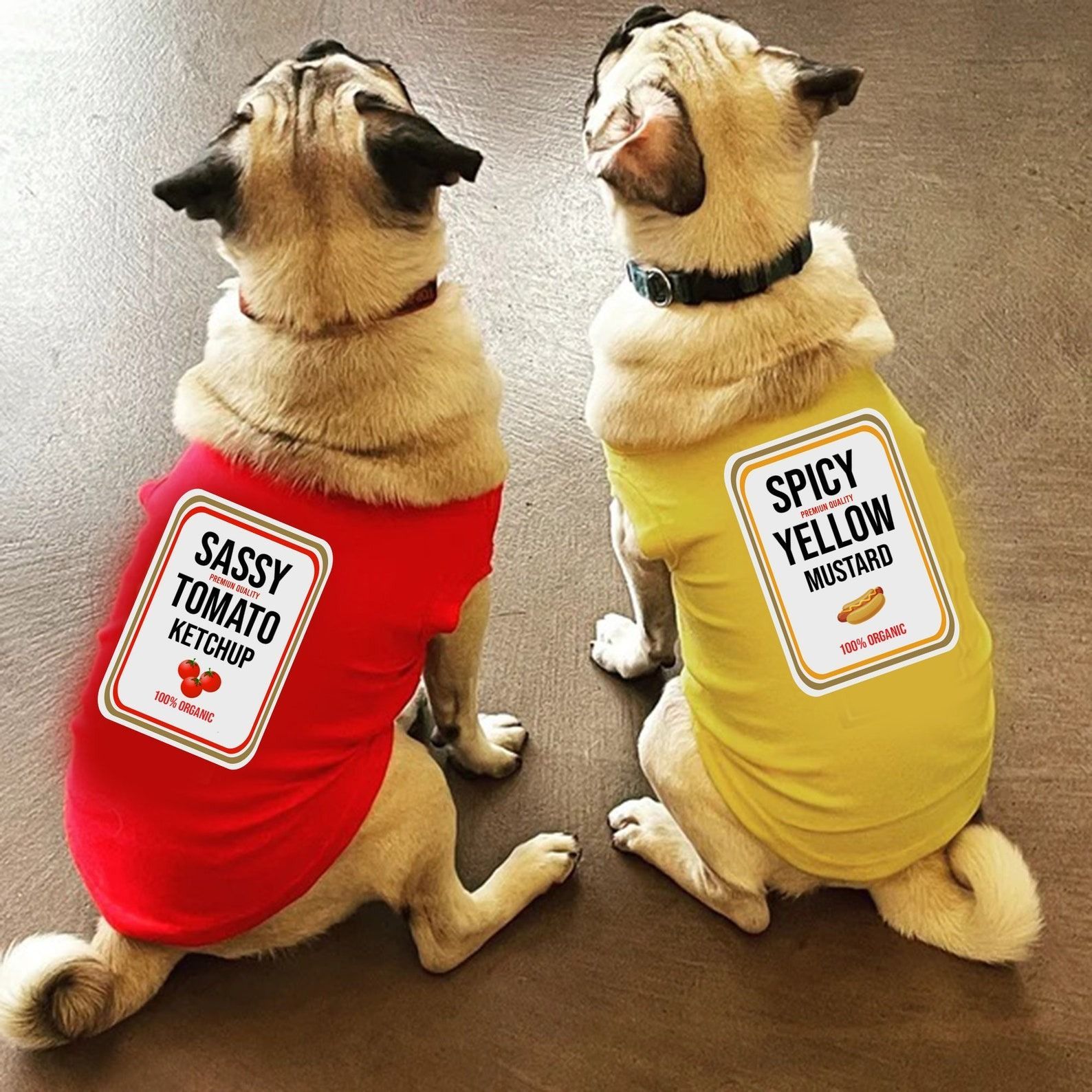 Pugs in funny costumes best sale