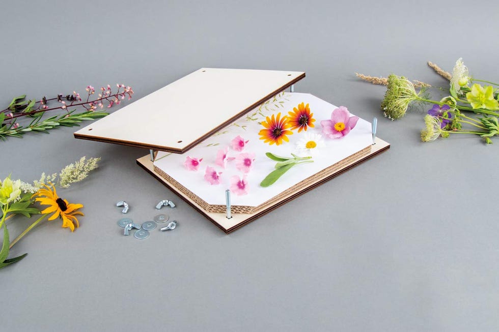 Set de prensado de flores