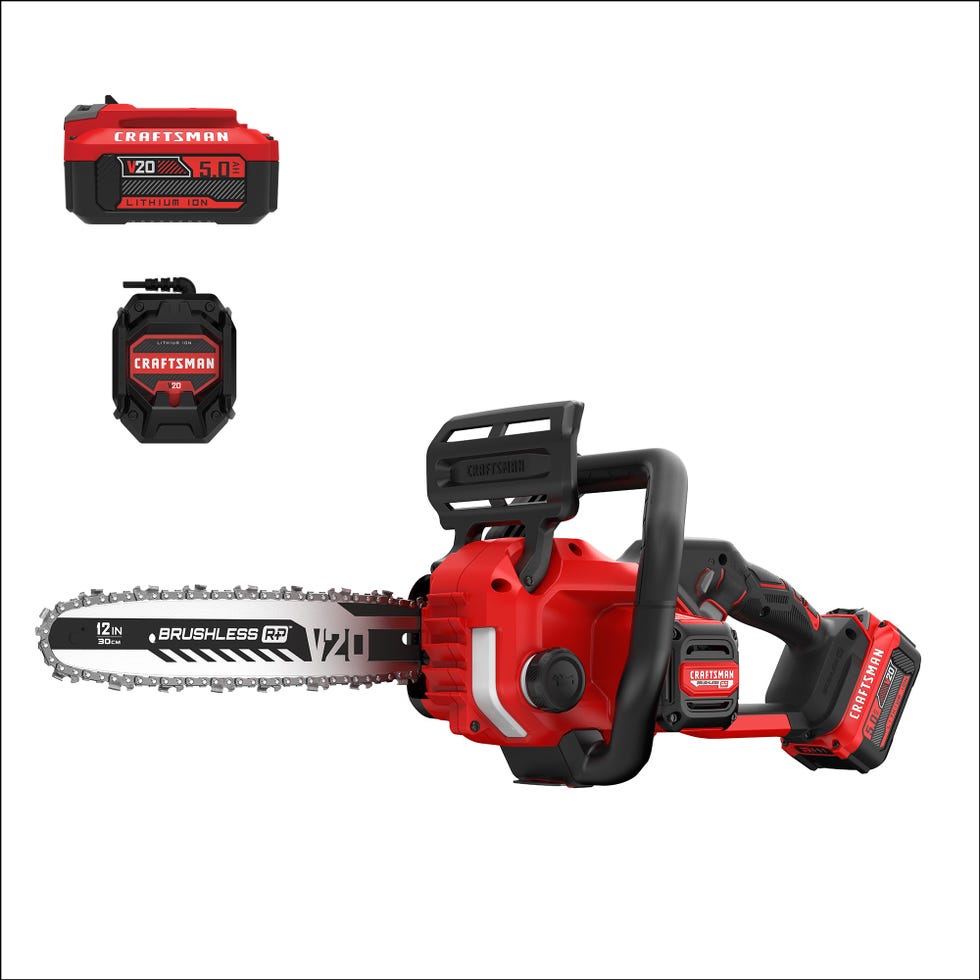 V20 Max 12-in Chainsaw 