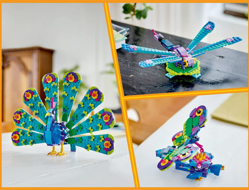 Three-in-One Exotic Peacock Toy
