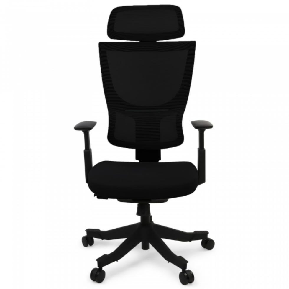 Flexi-Chair Ergonomic Office Chair BS8 
