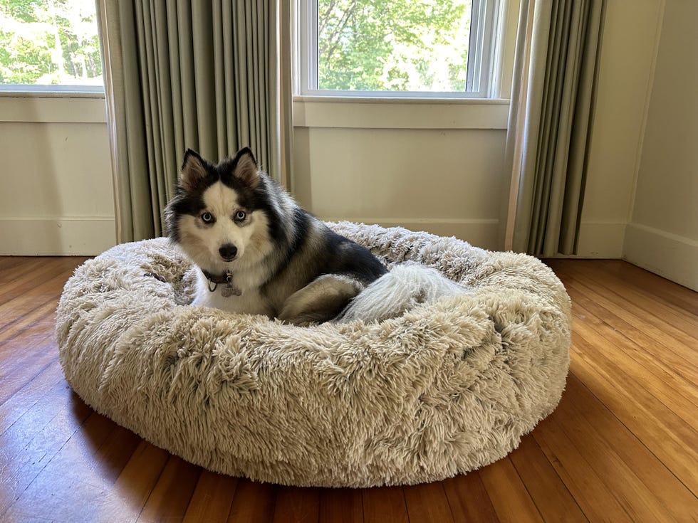Calming Donut