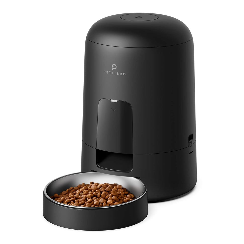 Automatic Cat Feeder