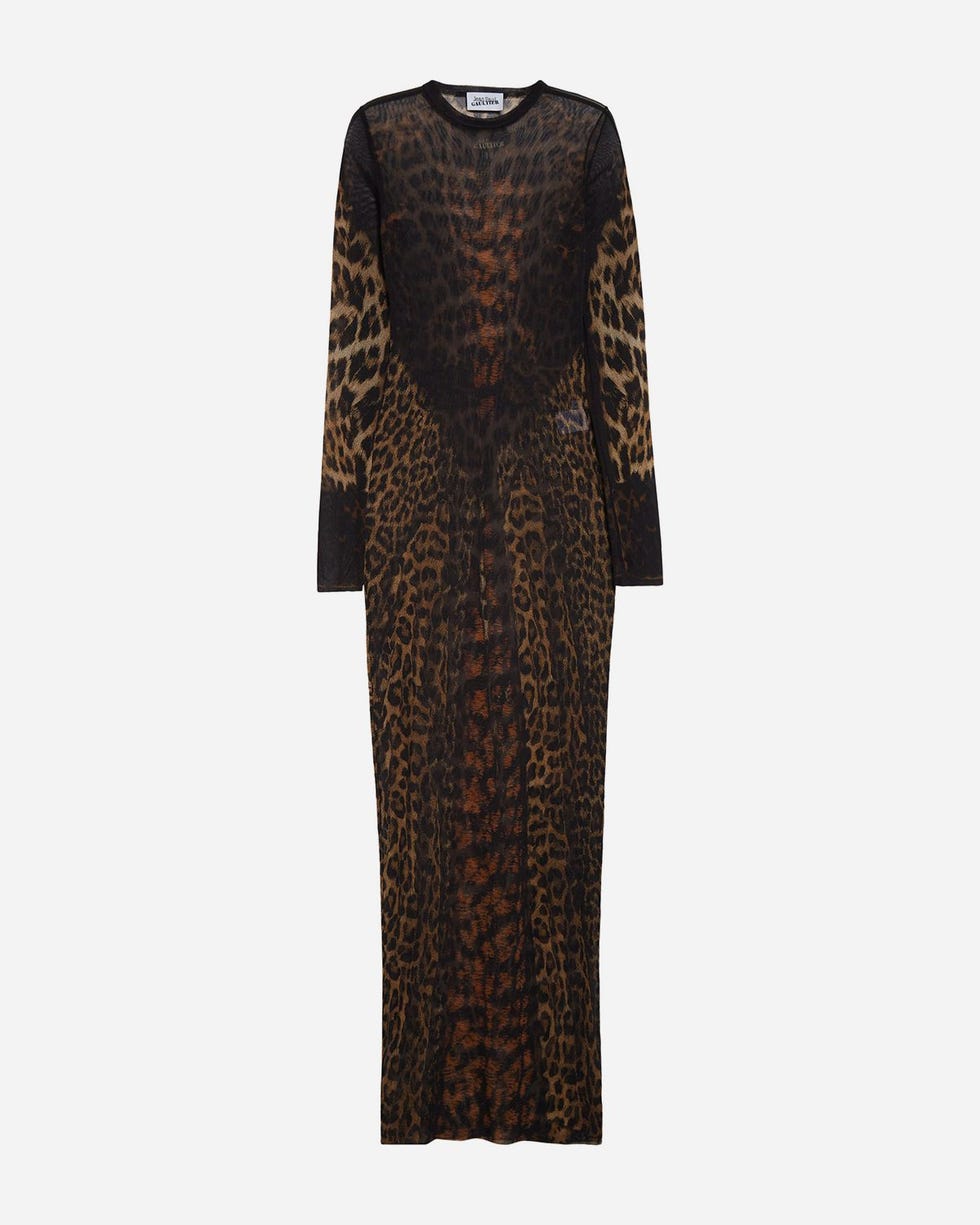 Leopard Print Long Sleeve Mesh Dress