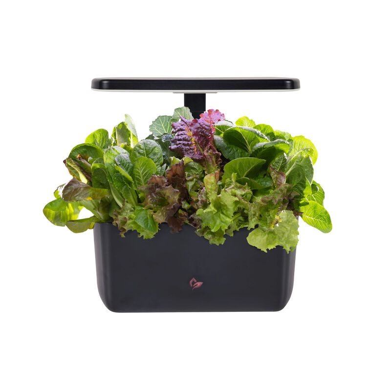 AeroGarden Harvest 2.0