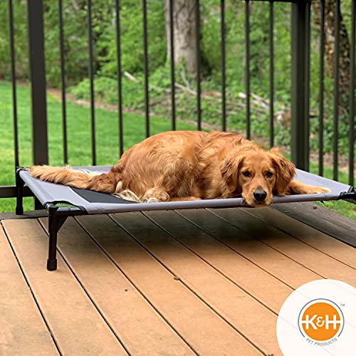 Elevated Outdoor Cot